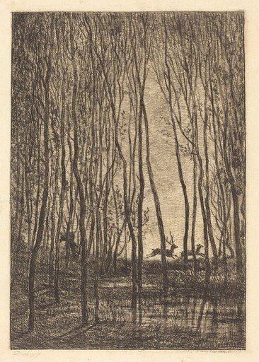 Deer in the Woods (Les Cerfs sous bois)