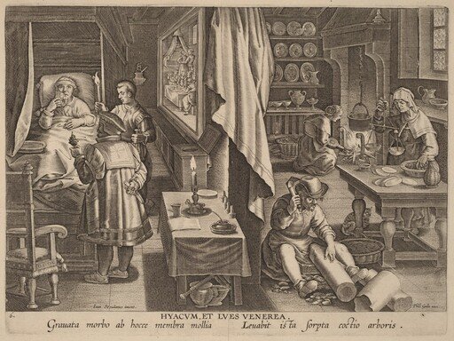 Hyacum, et Lues Venerea (Guaiacum and Venereal Infection)