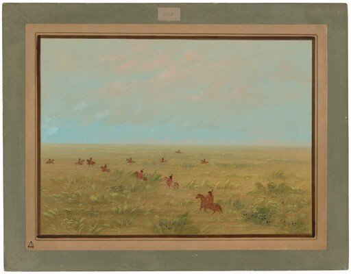 Driving the Pampas for Wild Cattle - Connibo