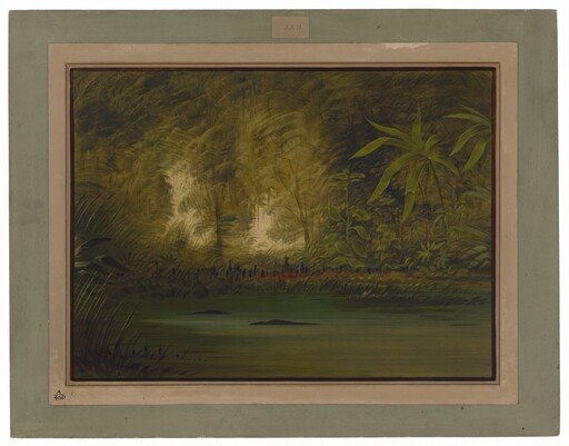 A Lagoon of the Upper Amazon