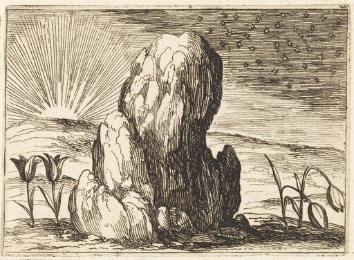 The Tulips and the Sun