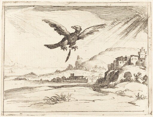 Eagle Losing an Old Feather