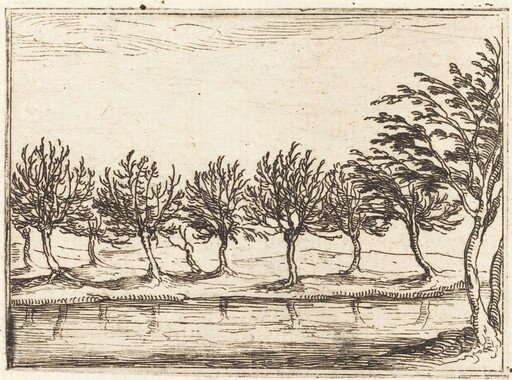 Willows by the Water's Edge