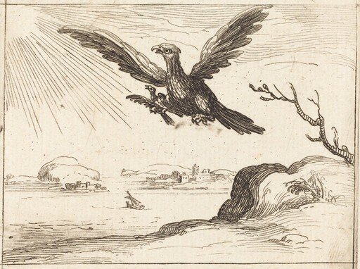 Eagle and Young