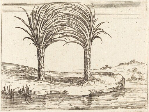 Two Palm Trees