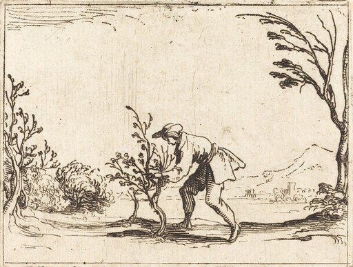 Man Cutting a Balm-Tree