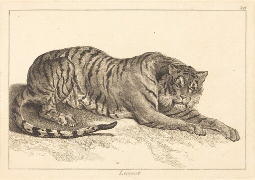 Leopart (Leopard or Tiger)