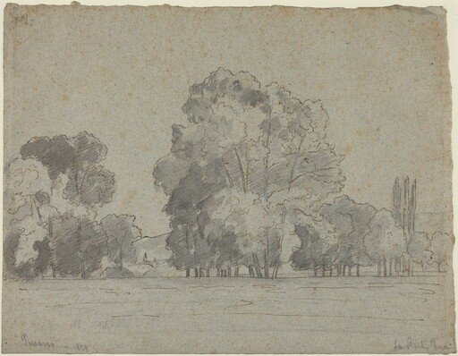 Grove of Trees