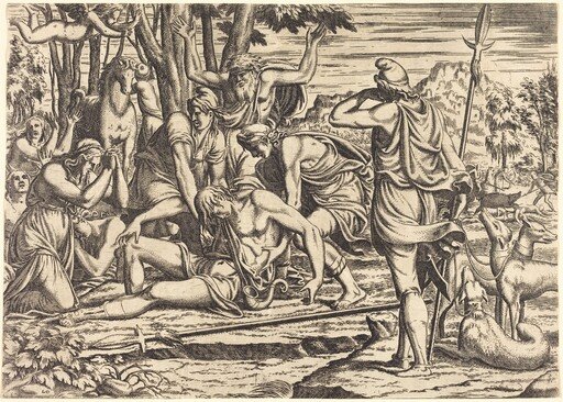 The Death of Adonis