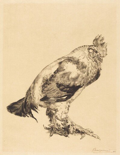 The Old Cock
