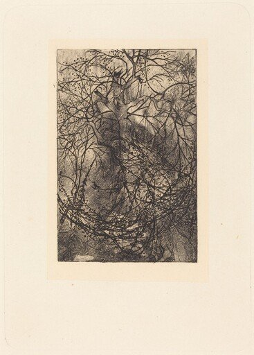 Branches