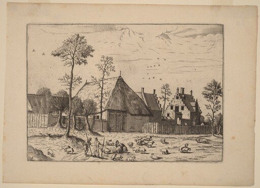 Shed with Cottage