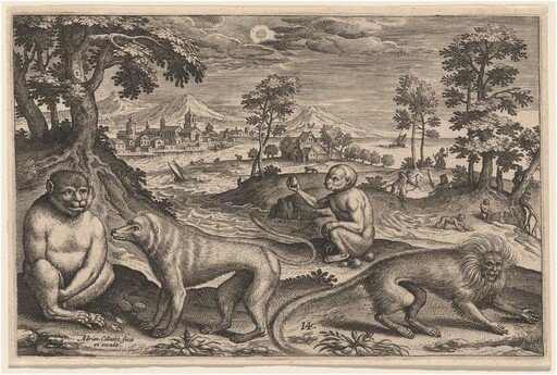 Two Apes and Two Monkeys
