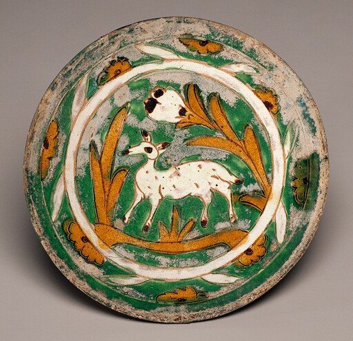 Dish