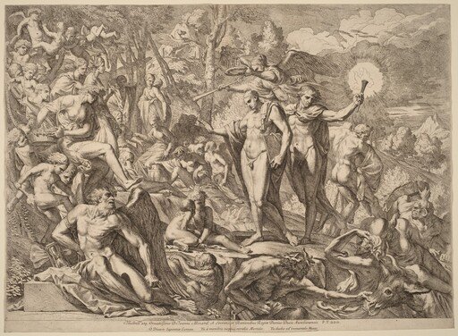 Parnassus