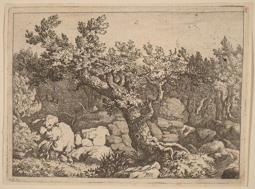 Sportsman near a Large Tree