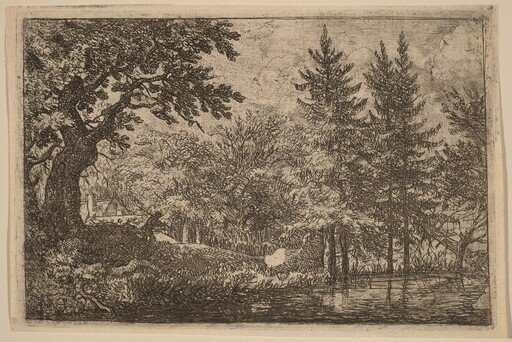 Fir Trees at the Water