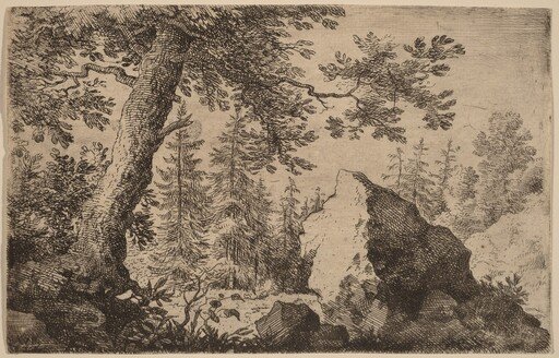 Boulder in the Woods