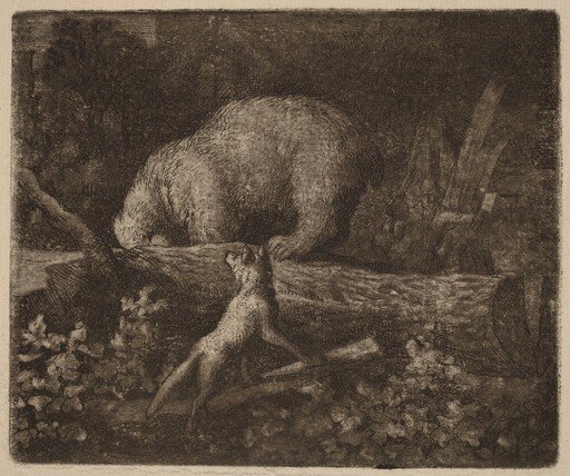 The Bear Trapped