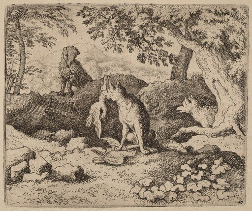 The Badger Goes to Warn Reynard
