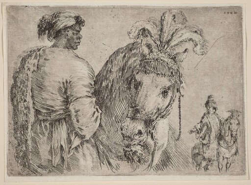 A Black Man Feeding a Horse