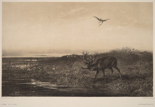 Le Soir.  Cerf et Herons