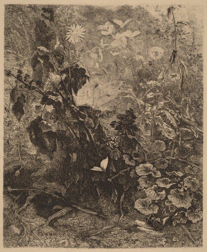 Escargots et papillons