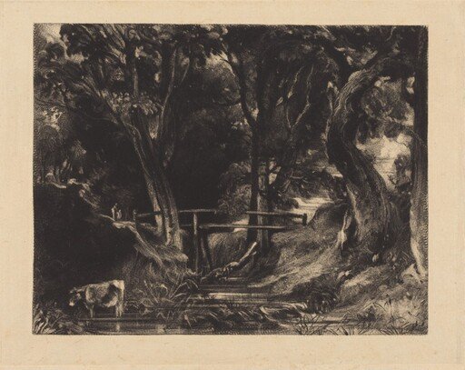 A Dell, Helmingham Park, Suffolk