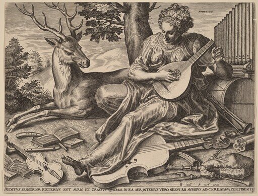 Auditus (Hearing)