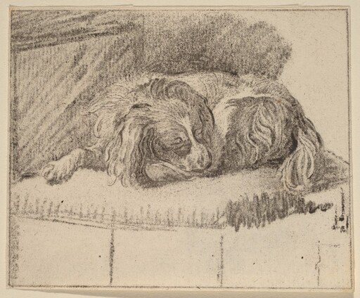 Lying Dog