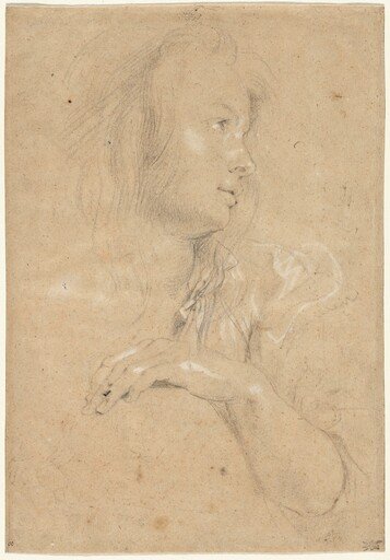 Young Woman in Profile