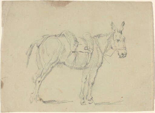 Donkey Stretching a Hind Leg