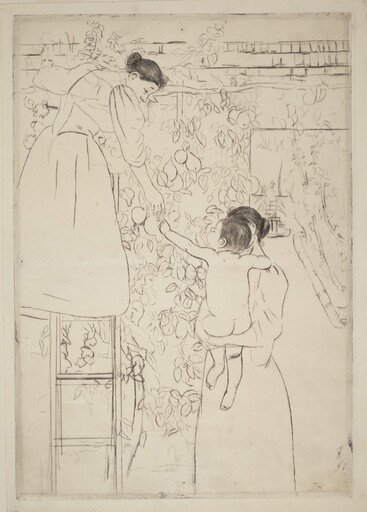 Gathering Fruit