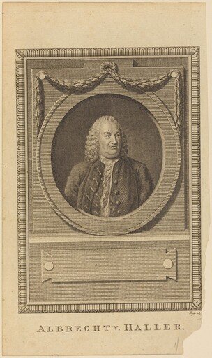 Albrecht V. Haller