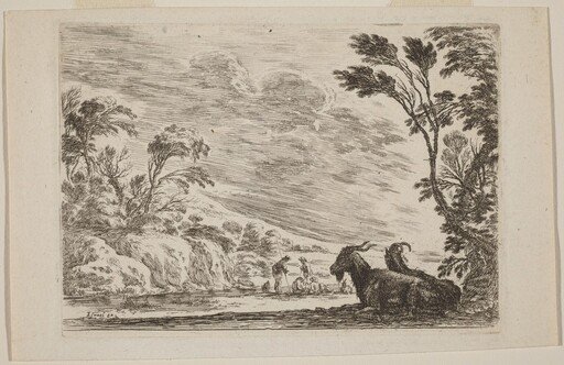 Two Goats Lying Down