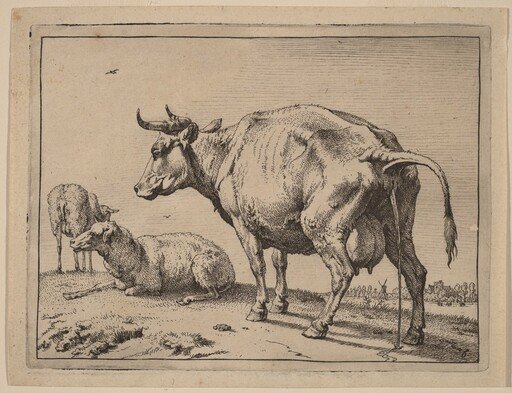 Pissing Cow