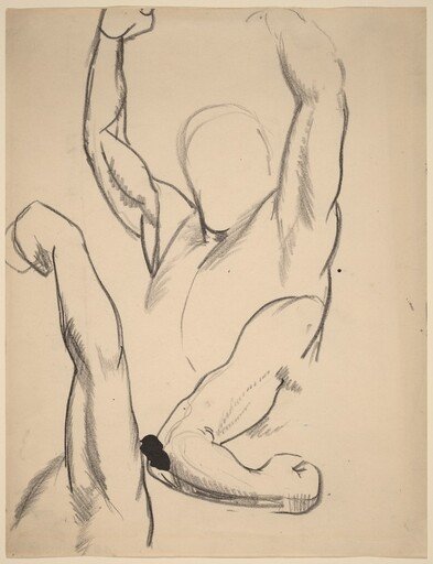 Arms of a Boxer