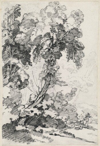 A Towering Tree with Travelers