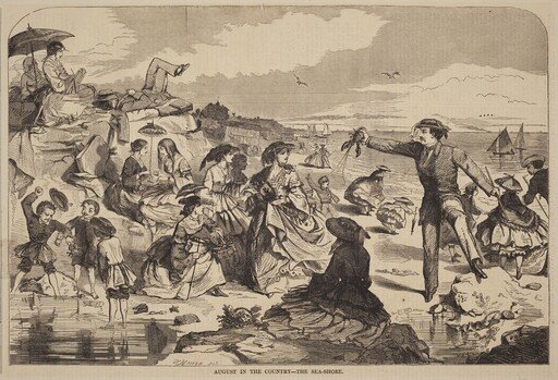 August in the Country - The Sea Shore