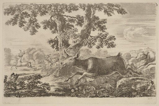 Deer Chased by a Dog to the Right