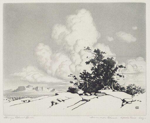 Summer Cloud, Apache Trail, Arizona