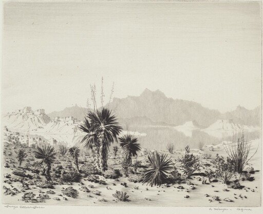 A Mirage, Arizona