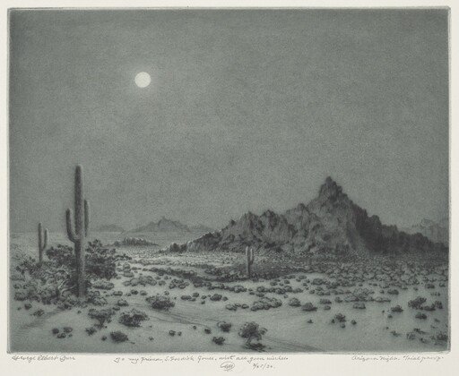 Arizona Night