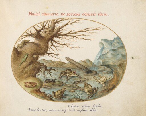 Plate 54: Frogs, Lizards, and Salamanders(?) in a Landscape
