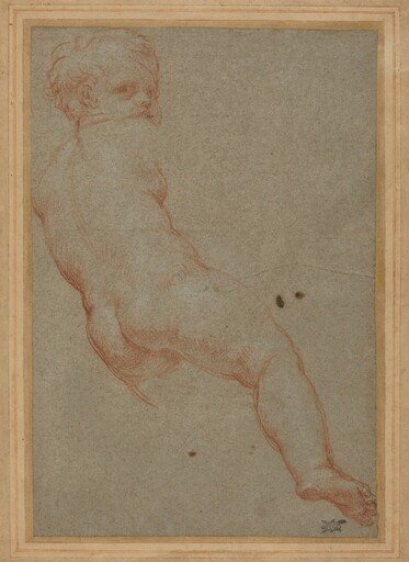 Study of a Young Boy