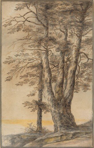 Study of Trees