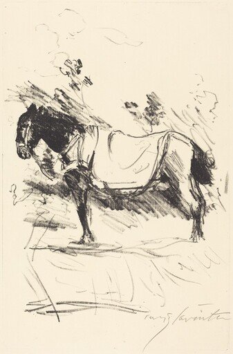 Reitpferd (Riding-Horse)