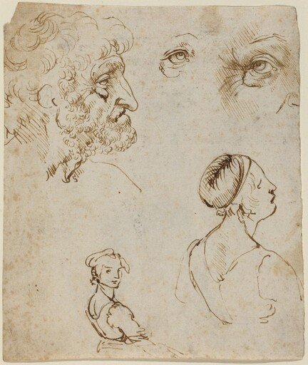 Sheet of Studies [recto]