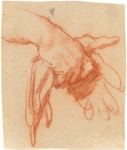 A Hand Holding Empty Gloves