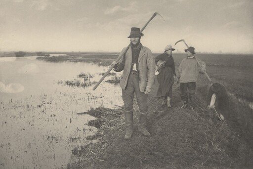 Coming Home from the Marshes